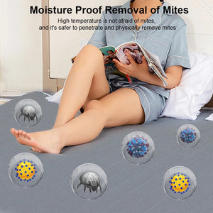 Margot Cozy Winter Electric Blanket Margot Vital